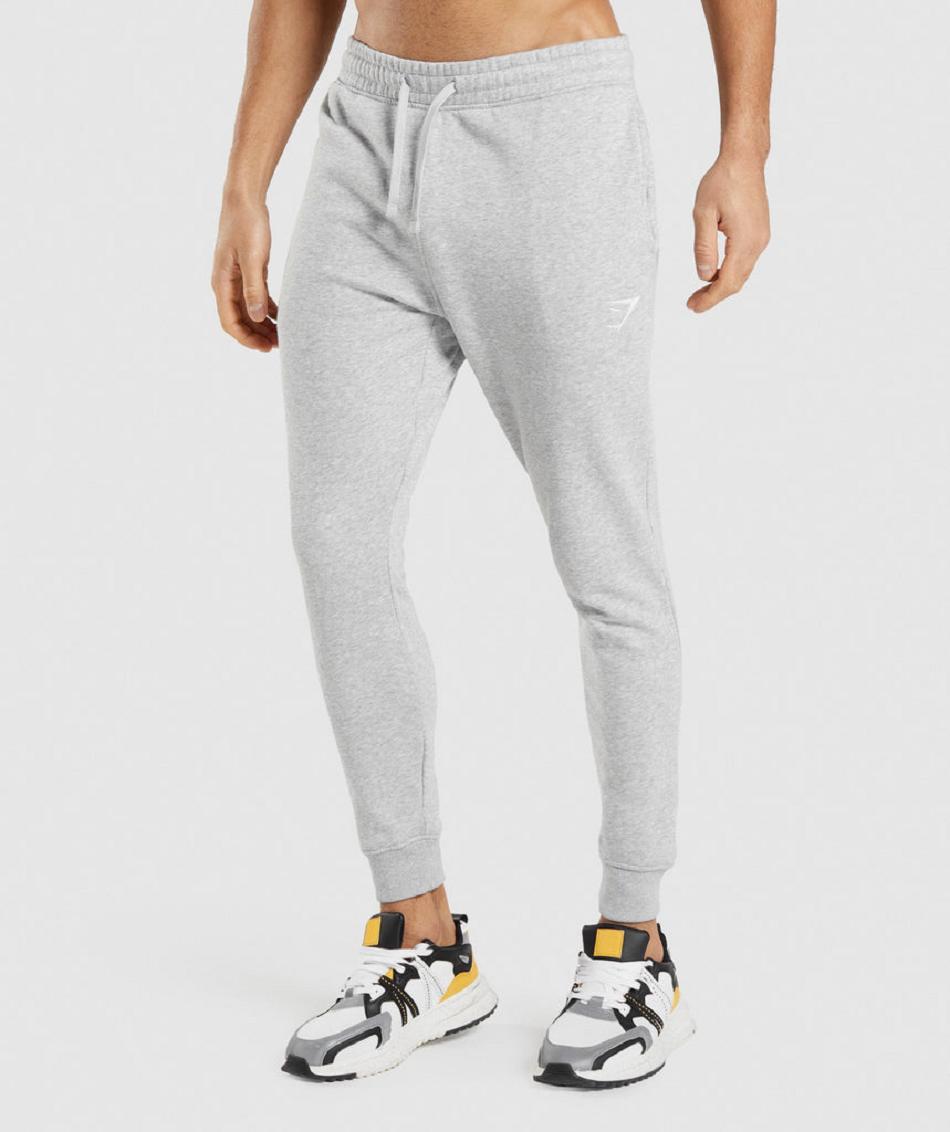 Gymshark Crest Muške Jogger Hlače Svijetlo Sive | HR 2978AHK